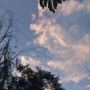 特级全黄A片高清视频
