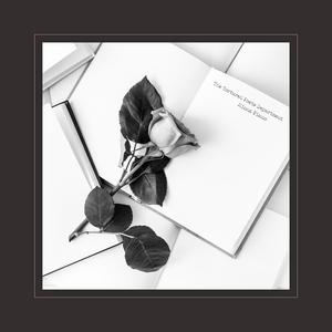 特级全黄A片高清视频
